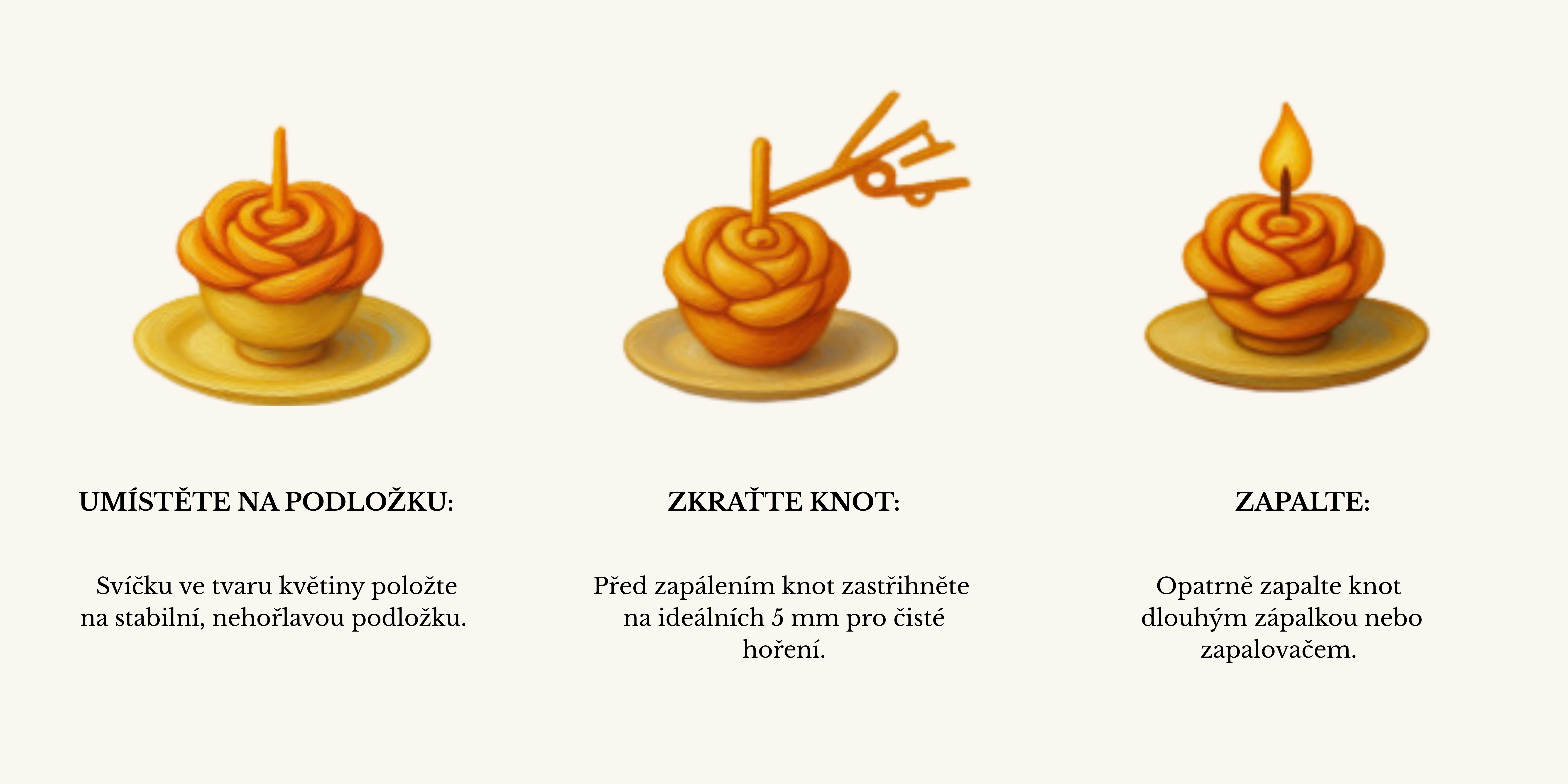 Jak pečovat o boxy vol